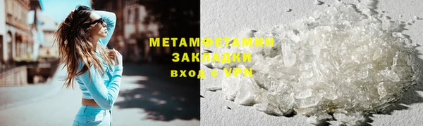 прущие грибы Богданович