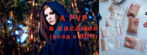 прущие грибы Богданович