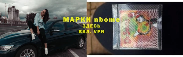 прущие грибы Богданович
