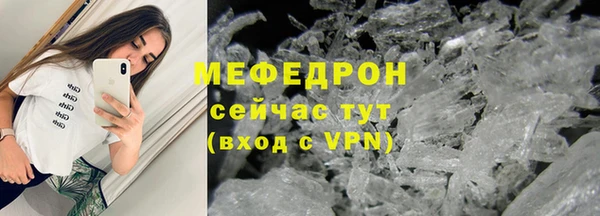 прущие грибы Богданович