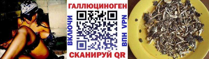 Псилоцибиновые грибы Psilocybine cubensis  хочу наркоту  Малоярославец 